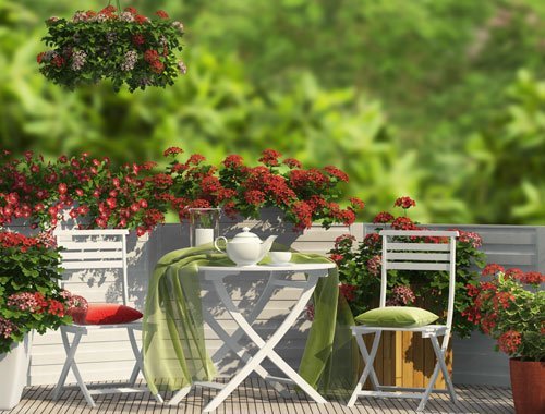 ideen-fur-balkonbepflanzung-30_14 Ideen für balkonbepflanzung