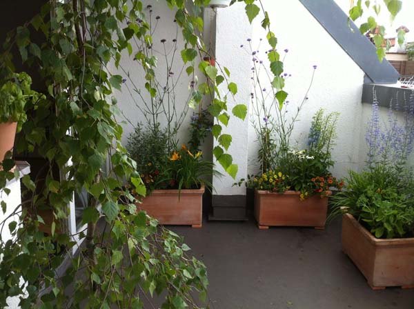 ideen-fur-balkonbepflanzung-30_2 Ideen für balkonbepflanzung