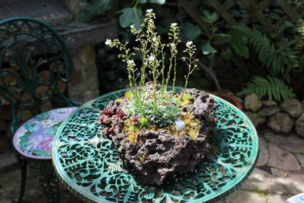 Miniatur steingarten