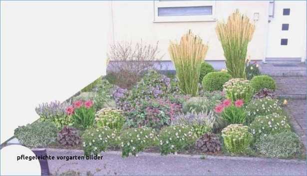 pflanzen-vorgarten-pflegeleicht-35_3 Pflanzen vorgarten pflegeleicht