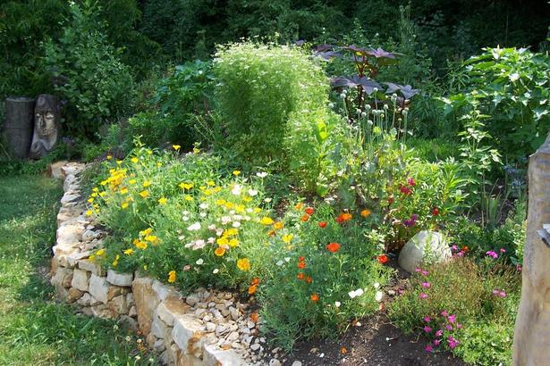 Steingarten kräuter