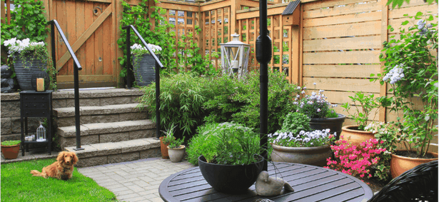 backyard-gardening-ideas-with-pictures-29 Hinterhof Gartenarbeit Ideen mit Bildern