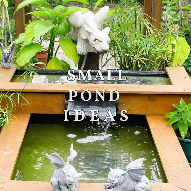 gartenteich-ideen-fur-kleine-garten-43_2 Gartenteich Ideen für kleine Gärten