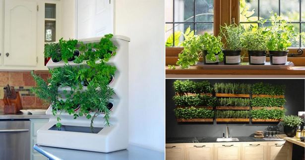 indoor-herb-pflanzer-ideen-06_20 Indoor Herb Pflanzer Ideen