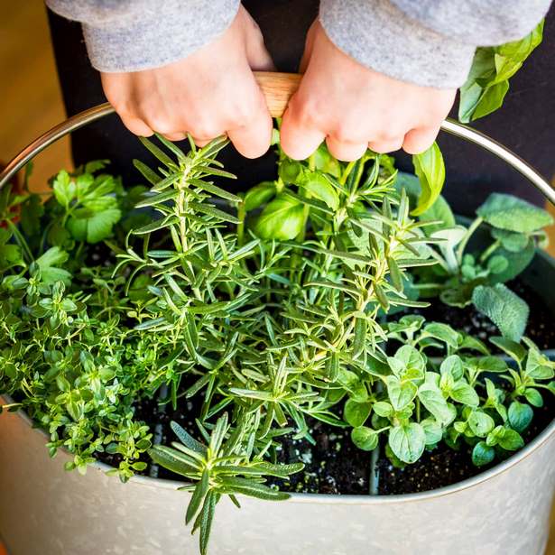 indoor-herb-pflanzer-ideen-06_7 Indoor Herb Pflanzer Ideen