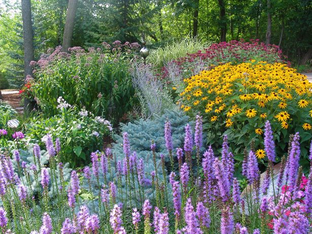 mehrjahrige-blumen-landschaftsbau-ideen-05_18 Mehrjährige Blumen Landschaftsbau Ideen