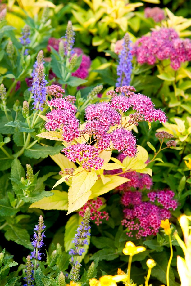 outdoor-blumenbeet-ideen-44_5 Outdoor Blumenbeet Ideen