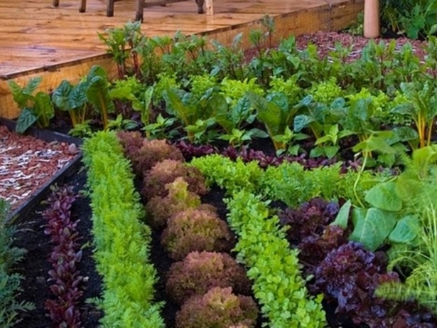 outdoor-gemusegarten-ideen-68_2 Outdoor Gemüsegarten Ideen