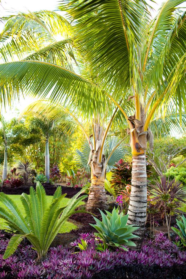palm-landschaftsbau-ideen-73_8 Palm Landschaftsbau Ideen