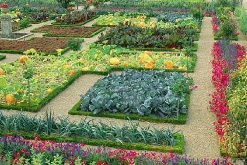 schone-blumengarten-ideen-64_15 Schöne Blumengarten Ideen