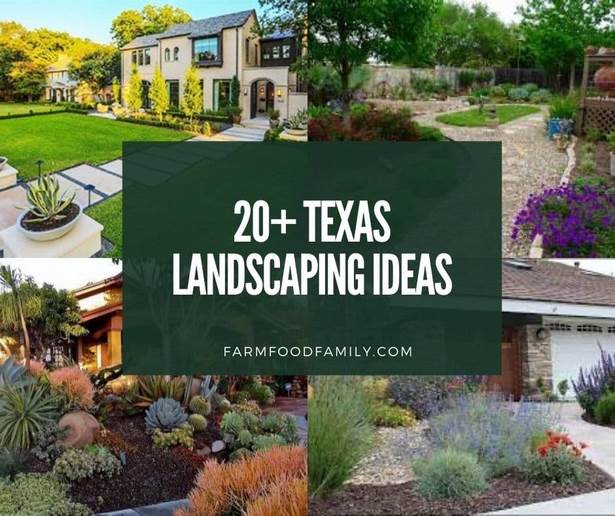 texas-hinterhof-landschaftsbau-ideen-15_2 Texas Hinterhof Landschaftsbau Ideen