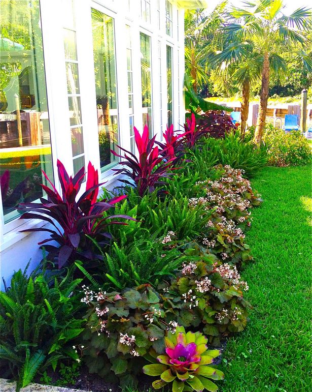 tropical-flower-bed-ideas-84_17 Tropische Blumenbeet Ideen
