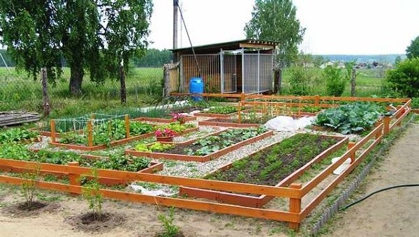 veggie-garden-design-ideas-09 Veggie Garten Design-Ideen