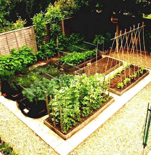 veggie-garden-design-ideas-09_6 Veggie Garten Design-Ideen