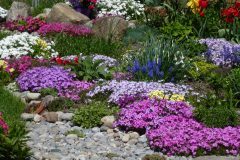 blumenbeet-mit-steinen-anlegen-86_3 Blumenbeet mit steinen anlegen