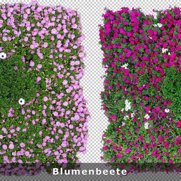 blumenbeet-welche-blumen-40_8 Blumenbeet welche blumen