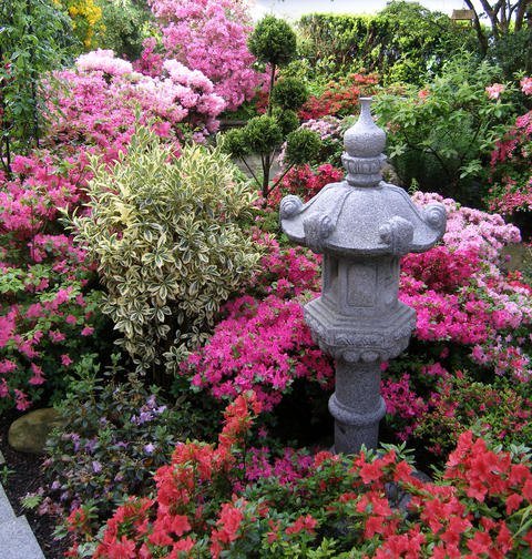Chinesischer garten pflanzen