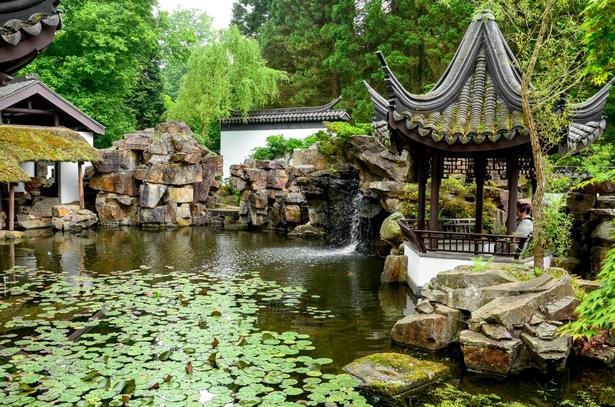 Chinesischer garten pflanzen