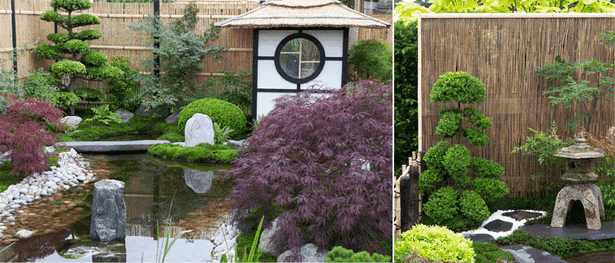 Japanische pflanzen garten