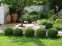 Vorgarten mit buchsbaum gestalten