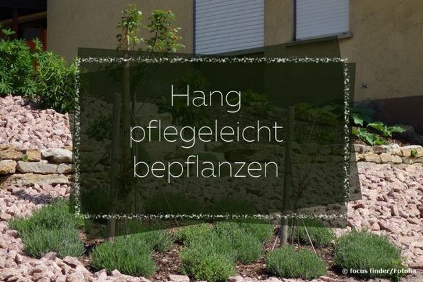 hanggarten-pflegeleicht-gestalten-11_10 Hanggarten pflegeleicht gestalten
