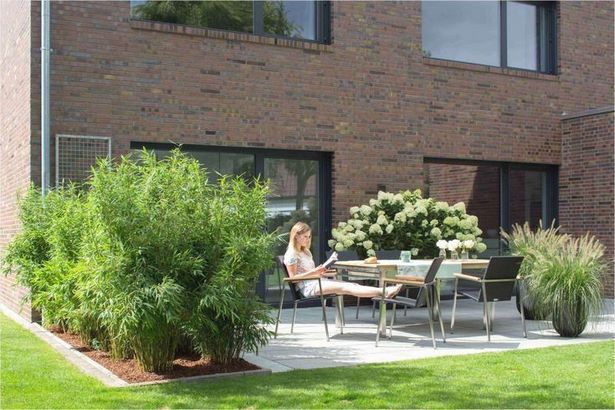 sichtschutzpflanzen-fur-terrasse-83 Sichtschutzpflanzen für terrasse