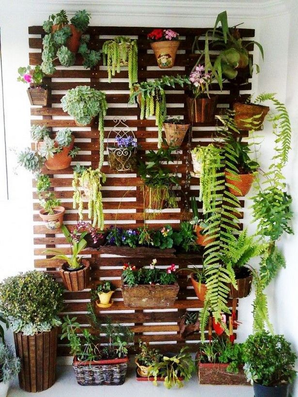 balkon-pflanzen-ideen-04_10 Balkon Pflanzen Ideen