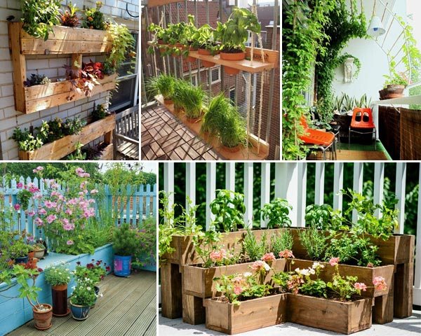 balkon-pflanzen-ideen-04_5 Balkon Pflanzen Ideen