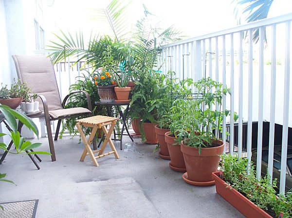 balkon-pflanzen-ideen-04_6 Balkon Pflanzen Ideen