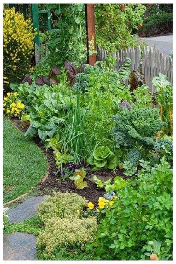 einfache-vorgarten-ideen-80_16 Einfache Vorgarten-Ideen
