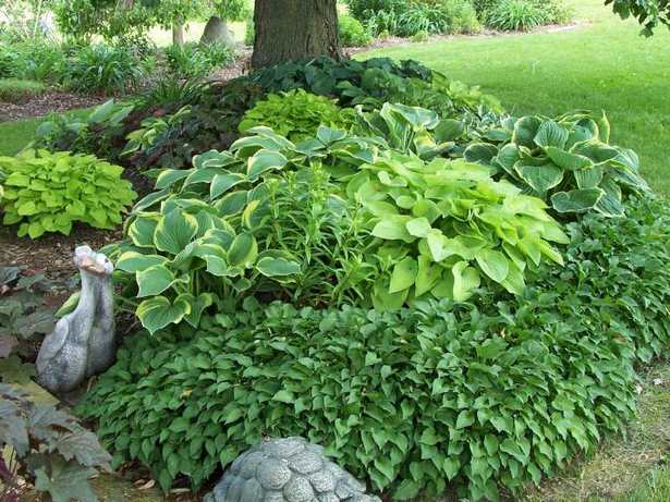 hosta-garten-design-ideen-98_5 Hosta Garten-design-Ideen