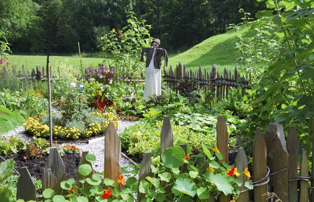 ideen-fur-gemusegarten-91 Ideen für Gemüsegärten