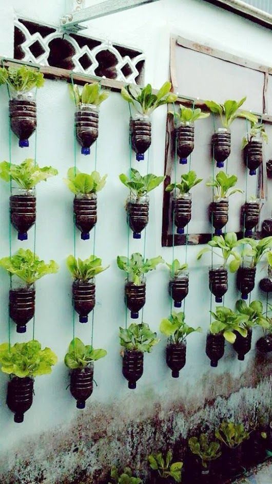 ideen-fur-pflanzen-70_3 Ideen für Pflanzen