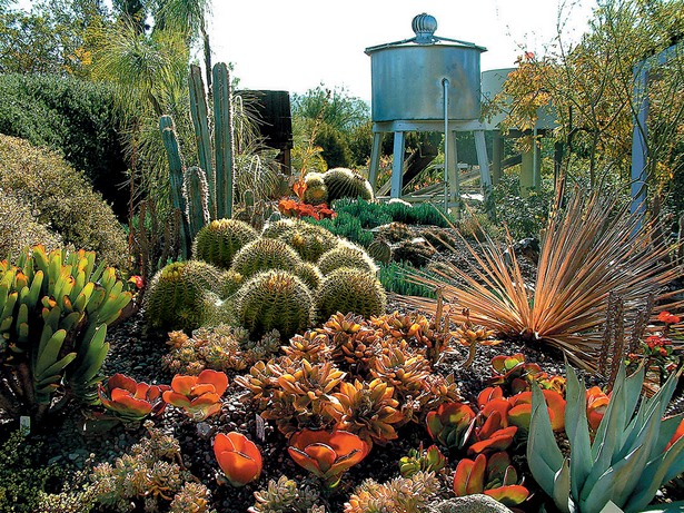 kaktus-garten-ideen-30_18 Kaktus-Garten Ideen