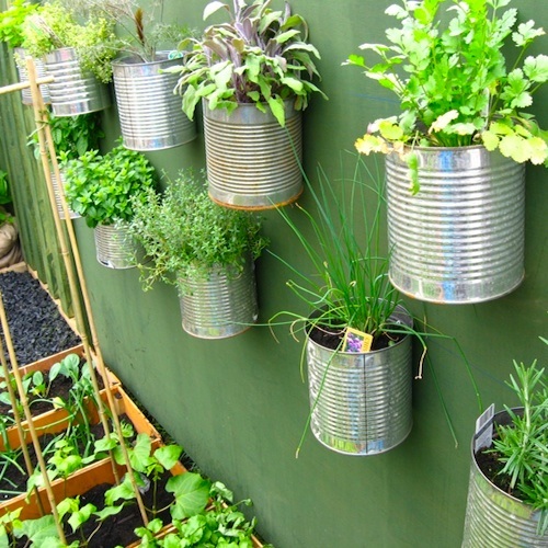 Kleine container-Garten-Ideen
