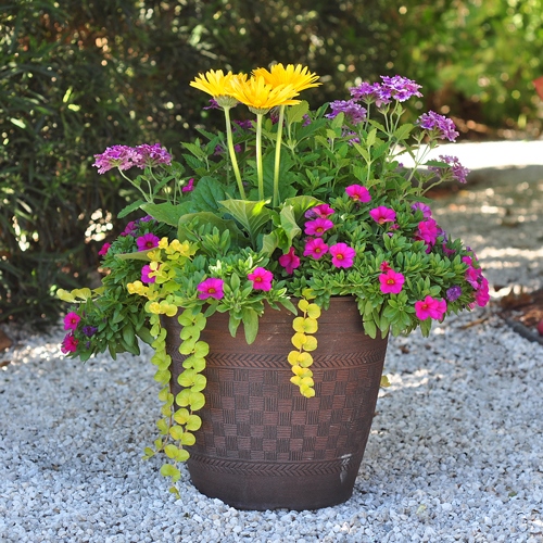 outdoor-blumen-pflanzer-ideen-65_14 Outdoor Blumen Pflanzer Ideen