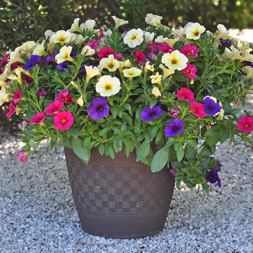 outdoor-blumen-pflanzer-ideen-65_2 Outdoor Blumen Pflanzer Ideen
