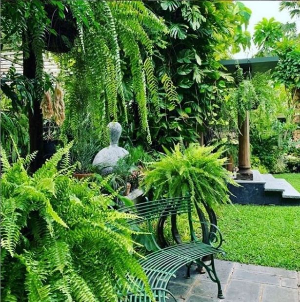 dekor-tropischer-garten-62_11 Dekor tropischer Garten