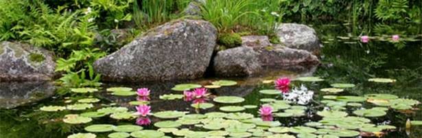 wie-man-einen-gartenteich-baut-19_15 Wie man einen Gartenteich baut