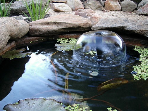 wie-man-einen-gartenteich-macht-56_15 Wie man einen Gartenteich macht