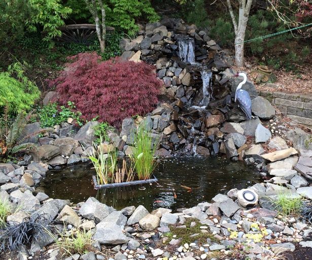 wie-man-einen-teich-wasserfall-bauen-13_14 Wie man einen Teich Wasserfall bauen