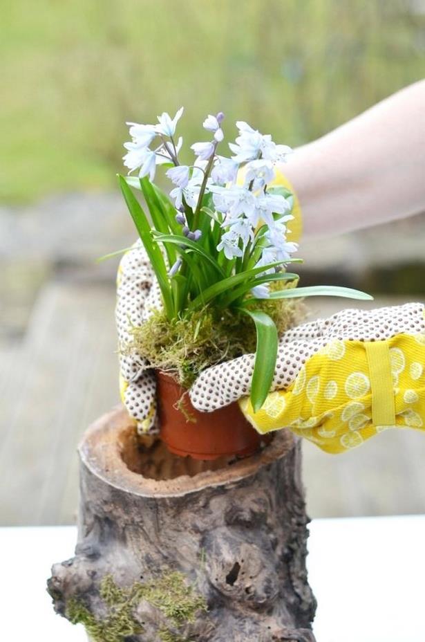 Baumstumpf im garten gestalten