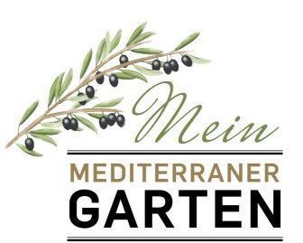 gartengestaltung-mediterrane-garten-65_11 Gartengestaltung mediterrane gärten