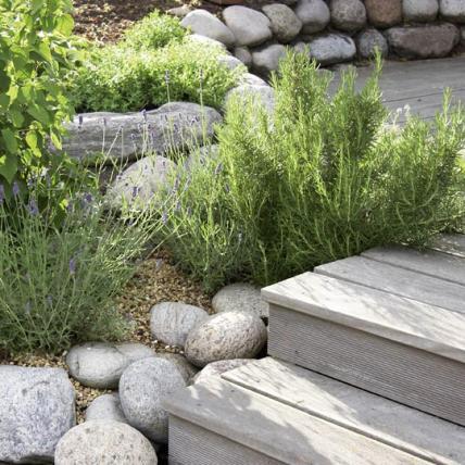 Ideen kräutergarten gestalten