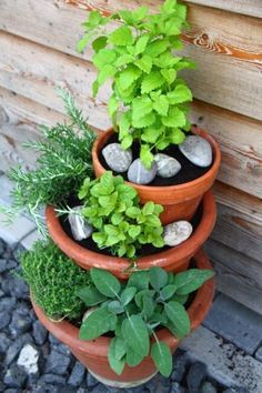 Kräuter pflanzen ideen