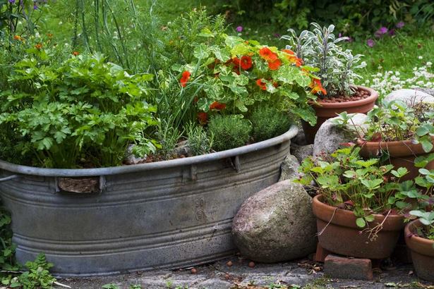 Kräuter pflanzen ideen