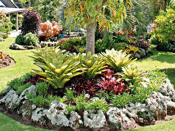 tropische-gartenpflanzen-23_3 Tropische Gartenpflanzen