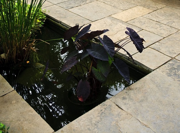 Moderne kleine teiche