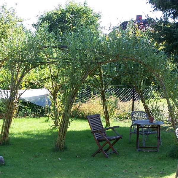 Weiden deko garten