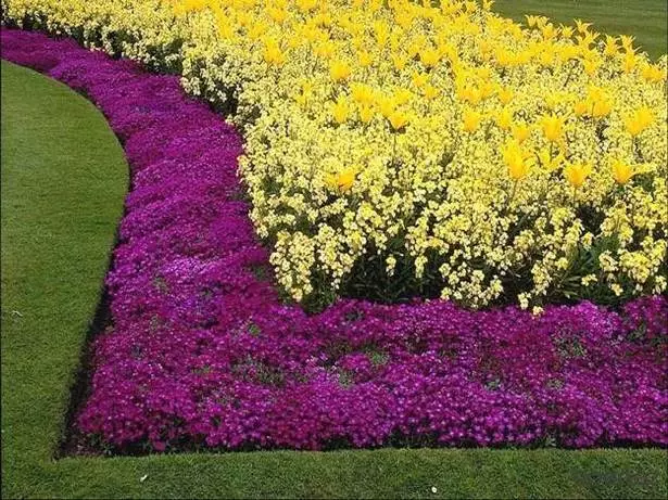 gartenbordure-blumen-73_15-9 Gartenbordüre Blumen